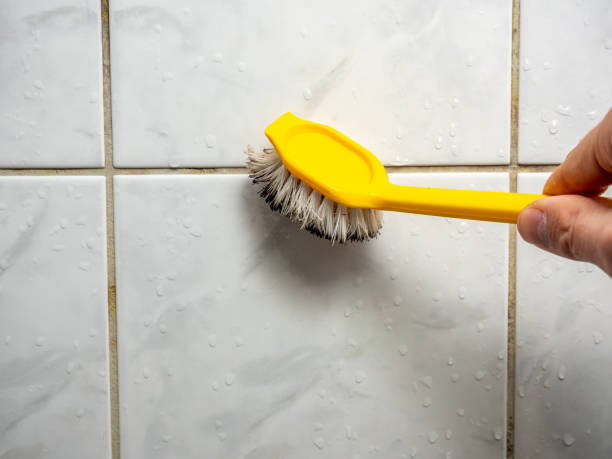 Best Same-Day Mold Removal  in Morro Bay, CA