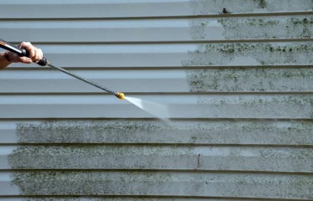 Best Mold Cleaning Services  in Morro Bay, CA