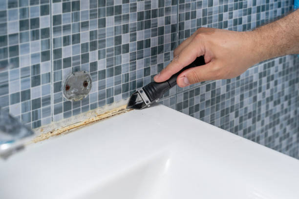 Morro Bay, CA Mold Removal Company