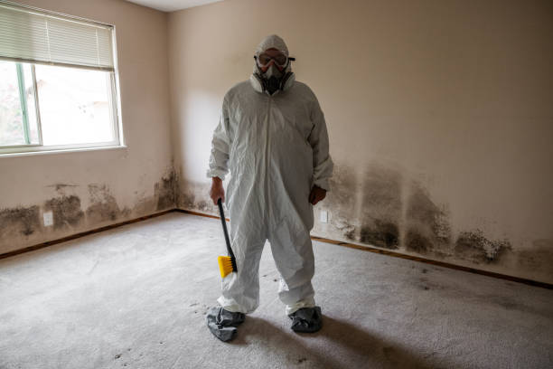Best Mold Damage Repair  in Morro Bay, CA